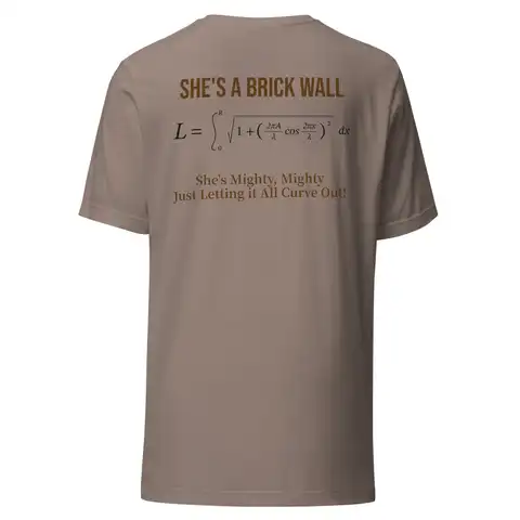 Calculated Curvature Tee, Pebble, back, printed with the arc-length formula